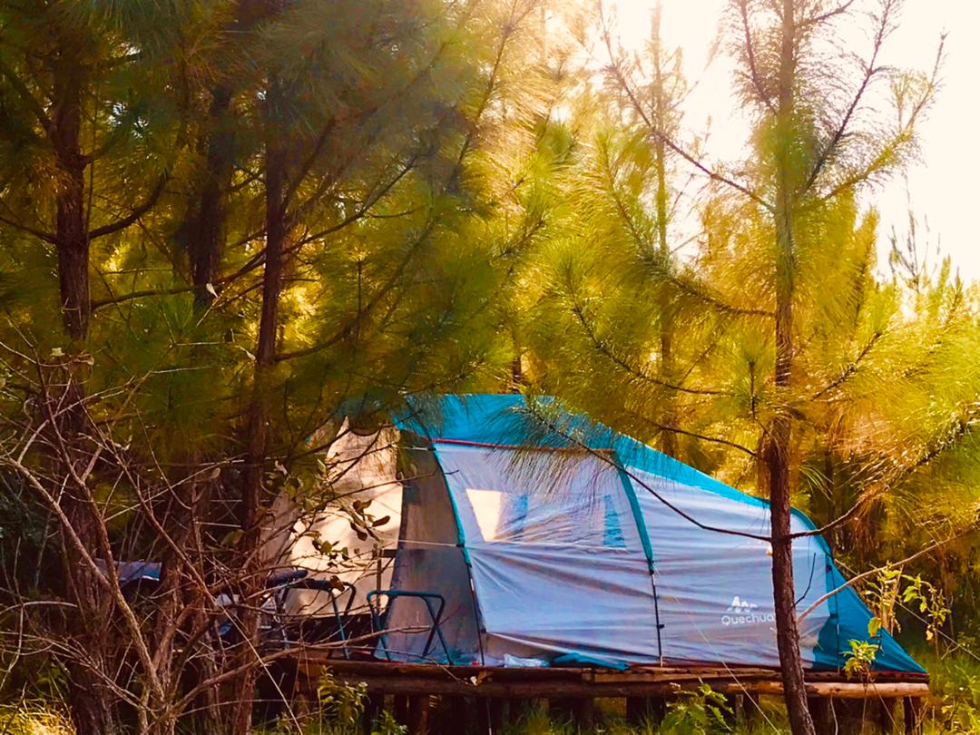 Caravan Glamping