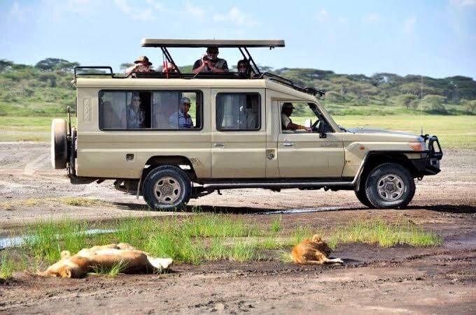 Comfortable Safari Jeep Vehicles